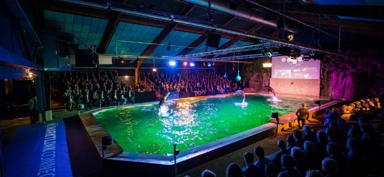 Gouden Giraffe 2021: Marktlink Connect, de ultieme deal voor ondernemers