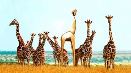 Gouden Giraffe Event Awards: 10 februari, DeFabrique