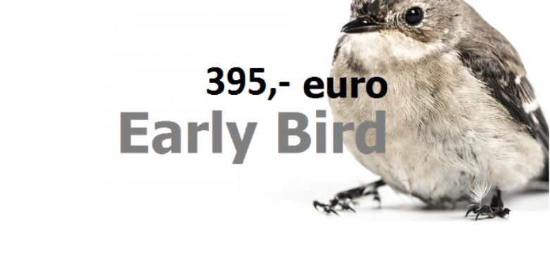 Gouden Giraffe Event Awards: al ruim 30 inzendingen, early bird verlengd