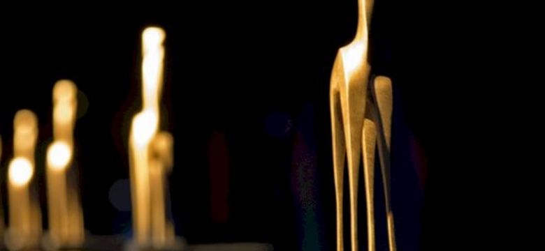 Gouden Giraffe Event Awards: programma awardshow, koop nu tickets!