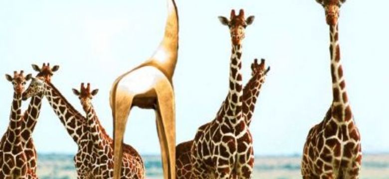 Gouden Giraffe Event Awards The Aftermovie (VIDEO)