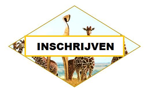 Gouden Giraffe: wat krijg ik er voor terug als ik deelneem?