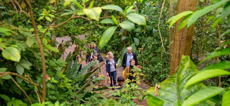 Hoe organiseer je een succesvolle teambuildingactiviteit?