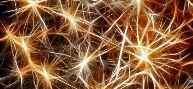 Interne Evenementen: 4 gouden tips 