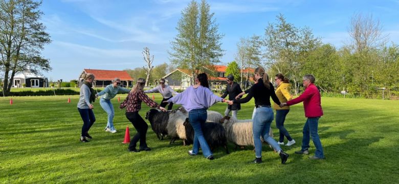 Kameryck: Visie op duurzaamheid steeds vaker doorslaggevend