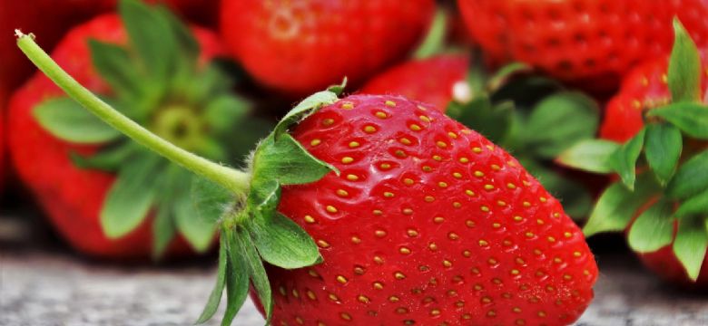 LAST CALL: The Next Event Food for Thought