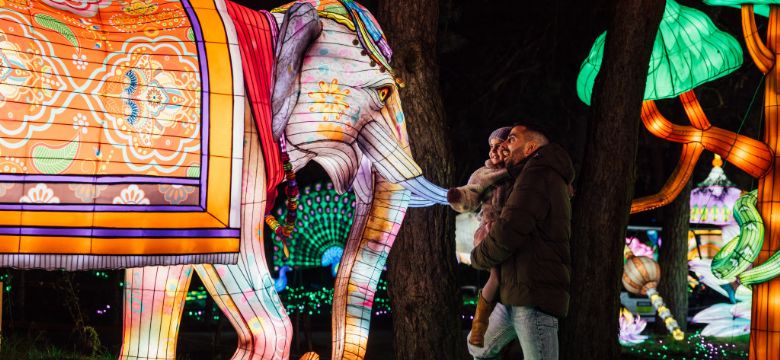 Light Safari van start bij Beekse Bergen