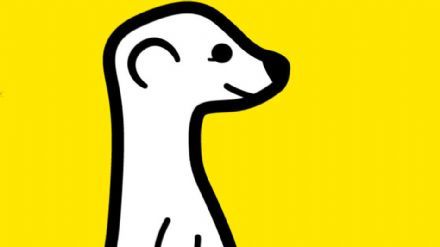 Meerkat: een ideale app voor ieder evenement