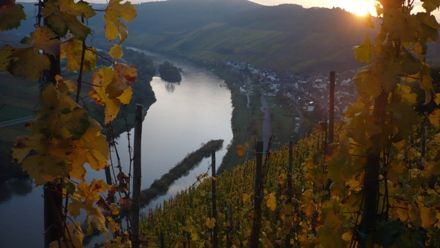 MICE: Cazebonne komt met nieuwe Duitse arrangementen