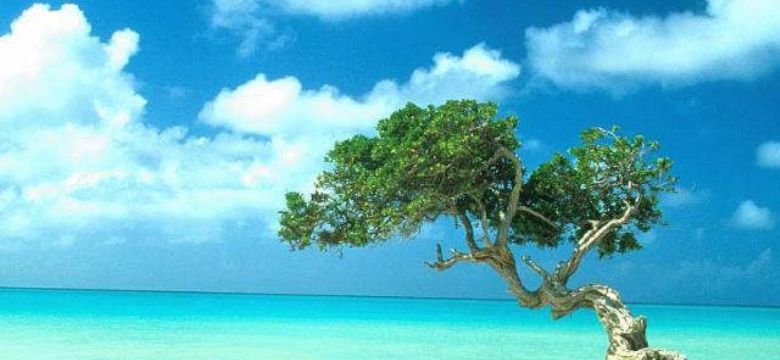 MICE Nieuws: verkeersbureaus Aurba en Bonaire slaan handen ineen