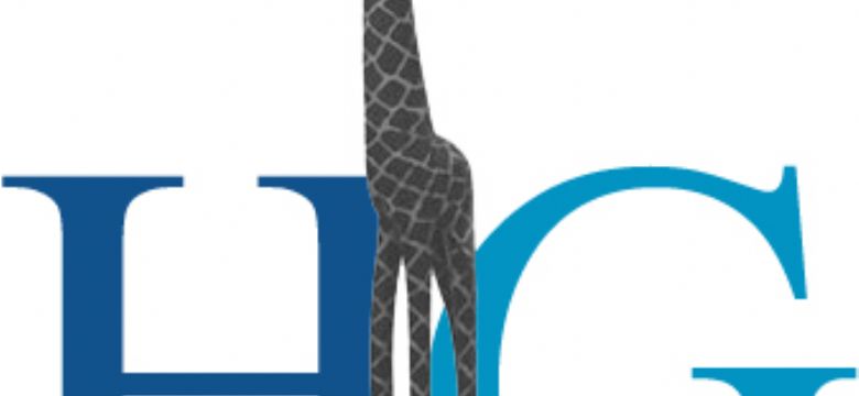 Nu al 7 inzendingen voor derde nationale editie van de Houten Giraffe
