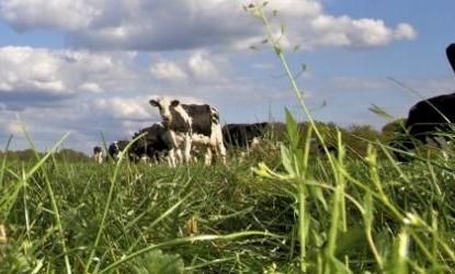 Partycateraar 7AM start met biologisch label