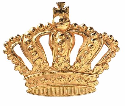 Protocolexperts: Koning Willem-Alexander is een zegen voor ons vak