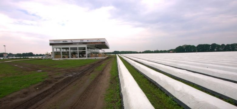 Restaurant op het Land: hoe je van asperge eten een belevenis maakt