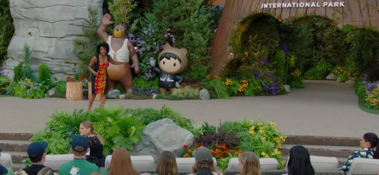 Salesforce inspireert 'the American way'