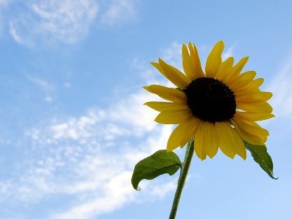 Tip: Geef de zomer een boost!