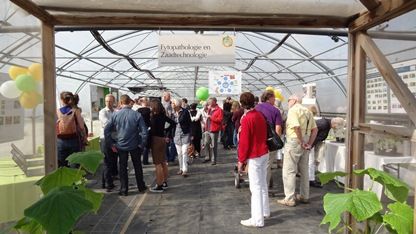 Toine Doprmans Groep zet familie-evenement neer voor Rijk Zwaan