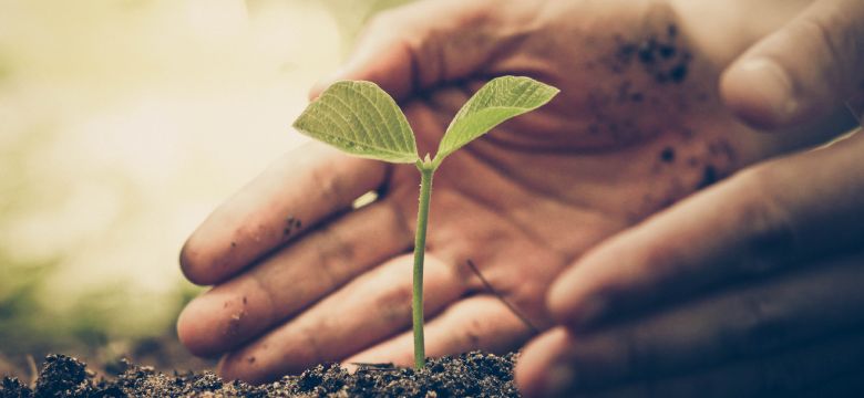 Uw evenement duurzamer en groener? Acht onderdelen waar u direct verschil maakt