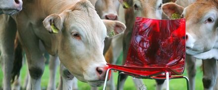 Verhuurbedrijven Hapéco en Van Geelen mogen zich klimaatneutraal noemen