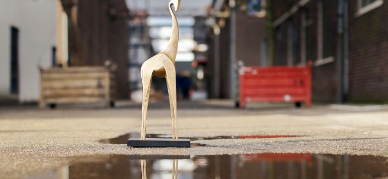 Welke gouden eventawards zijn er te verdelen tijdens de Gouden Giraffe 2018?