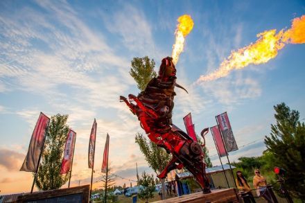 Wink brengt Jupiler met robuuste stier tot leven op festivals