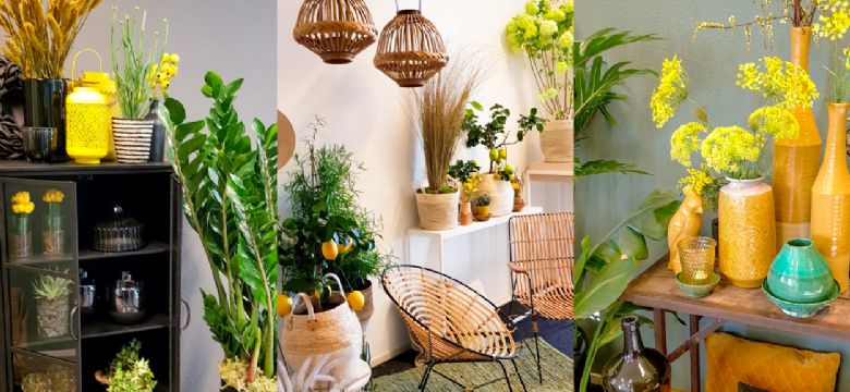 Wolterinck Event Decoration introduceert drie nieuwe interieursferen