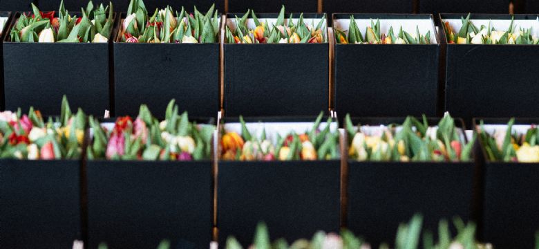 Wolterinck Event Decoration zorgt voor fleurige thuiswerkbooster