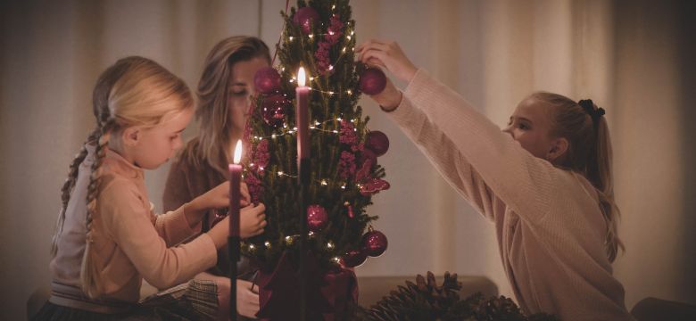 Wolterinck lanceert Spark thuiswerkboom: een boom vol waardering