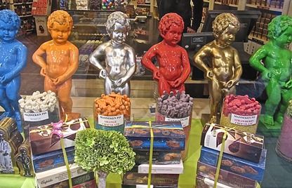 Xcentive organiseert educatieve roadshow voor ANVR