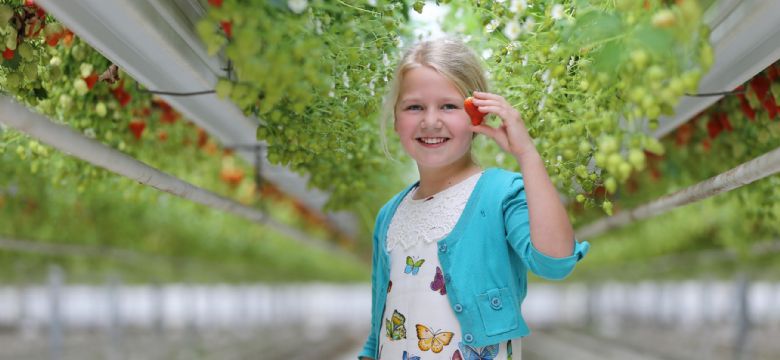 Xsaga en Albert Heijn zetten evenement neer op 70 locaties op 1 dag